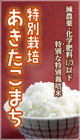 減農薬の特別栽培「あきたこまち」