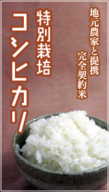 地元農家と完全契約米　特別栽培「コシヒカリ」