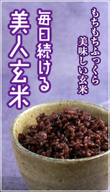 美味しい玄米「美人玄米」